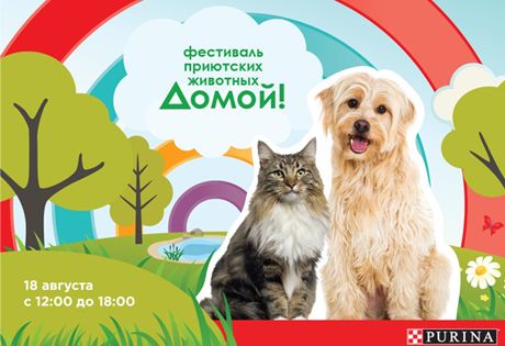 Во всемирный день бездомных животных PURINA приглашает москвичей посетить благотворительный фестиваль «Домой!»