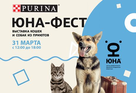 Выставка собак и кошек из приютов «Юна-Фест»: сделайте весну теплее!