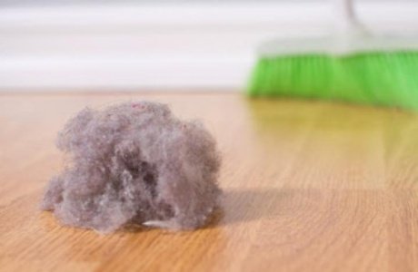 Эксперт: домашняя пыль опаснее, чем принято считать