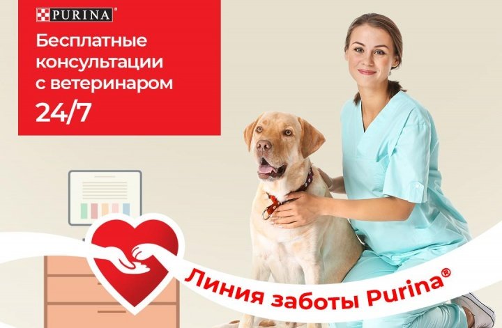 Бренд Purina запустил бесплатные онлайн-консультации с ветеринарными врачами для владельцев животных