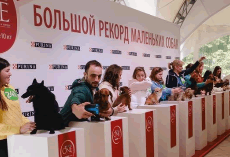 В Москве состоялась крупнейшая фотосессия собак в истории