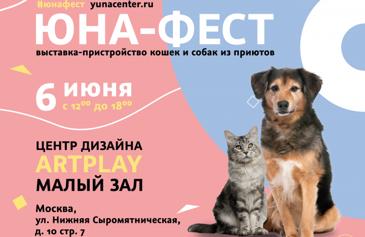 Центр «Юна» и Purina проведут в Artplay выставку-пристройство собак и кошек из приютов