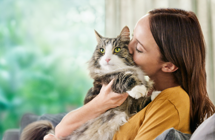 Бренд PROPLAN® и «Юна» помогут найти друзей людям с повышенной чувствительностью к аллергенам кошек