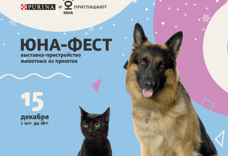 Выставка кошек и собак из приютов «Юна-Фест»: время творить чудеса!