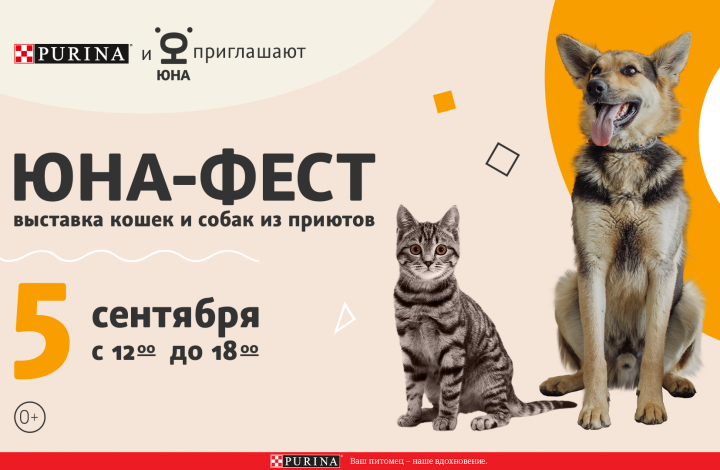 Центр «Юна» и бренд Purina проведут выставку-пристройство собак и кошек из приютов на территории центра дизайна Artplay